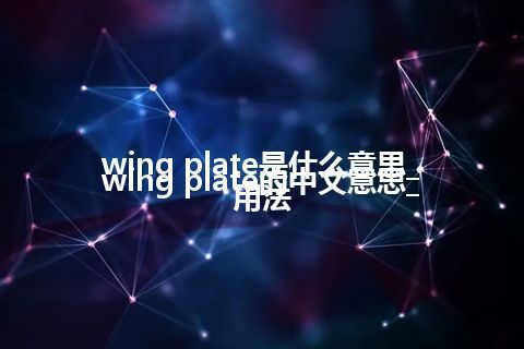 wing plate是什么意思_wing plate的中文意思_用法