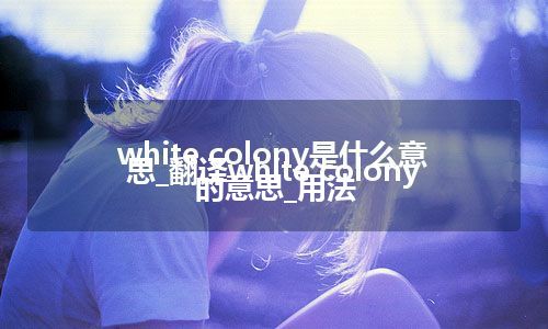 white colony是什么意思_翻译white colony的意思_用法