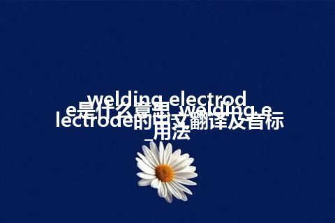 welding electrode是什么意思_welding electrode的中文翻译及音标_用法