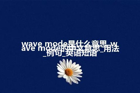 wave mode是什么意思_wave mode的中文意思_用法_例句_英语短语