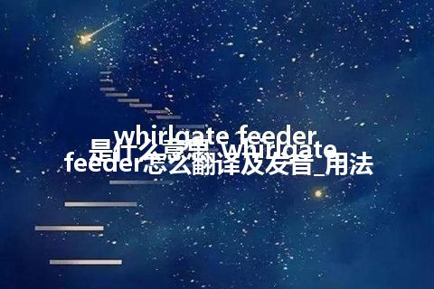 whirlgate feeder是什么意思_whirlgate feeder怎么翻译及发音_用法