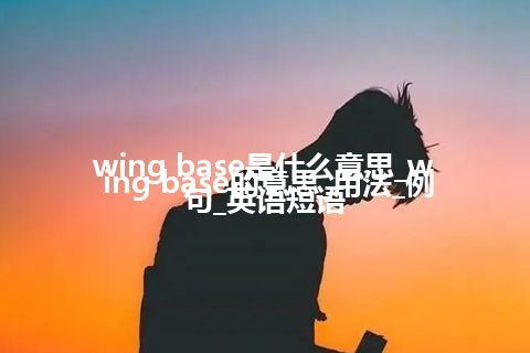 wing base是什么意思_wing base的意思_用法_例句_英语短语
