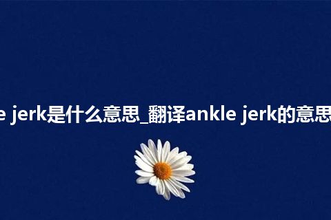 ankle jerk是什么意思_翻译ankle jerk的意思_用法