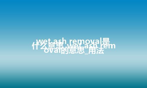 wet ash removal是什么意思_wet ash removal的意思_用法