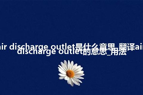 air discharge outlet是什么意思_翻译air discharge outlet的意思_用法