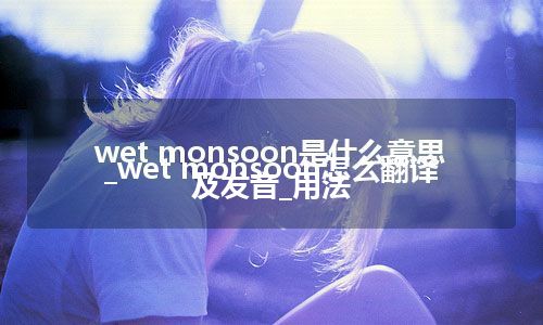 wet monsoon是什么意思_wet monsoon怎么翻译及发音_用法