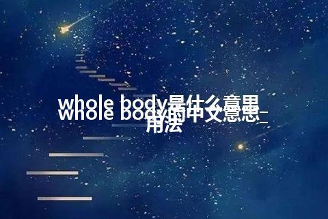 whole body是什么意思_whole body的中文意思_用法