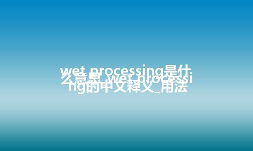 wet processing是什么意思_wet processing的中文释义_用法