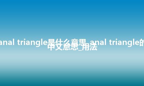 anal triangle是什么意思_anal triangle的中文意思_用法