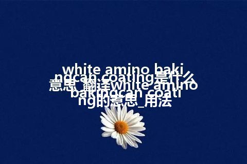 white amino bakingcan coating是什么意思_翻译white amino bakingcan coating的意思_用法