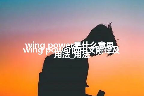 wing power是什么意思_wing power的中文翻译及用法_用法