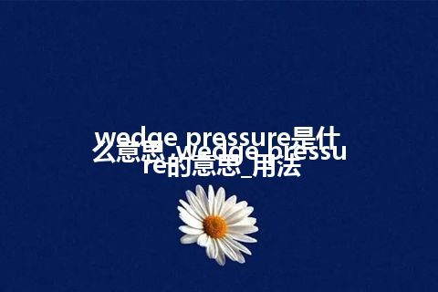 wedge pressure是什么意思_wedge pressure的意思_用法