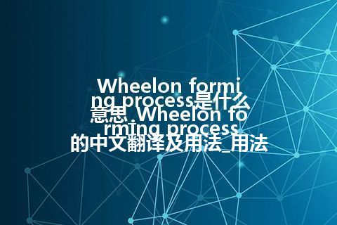 Wheelon forming process是什么意思_Wheelon forming process的中文翻译及用法_用法
