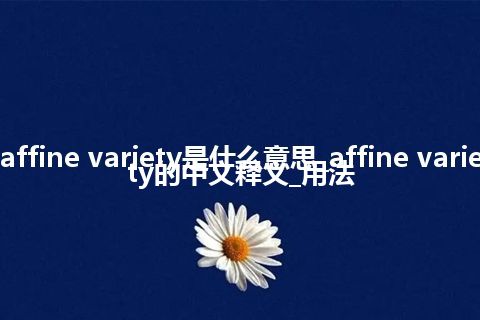affine variety是什么意思_affine variety的中文释义_用法