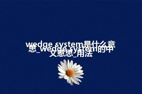 wedge system是什么意思_wedge system的中文意思_用法