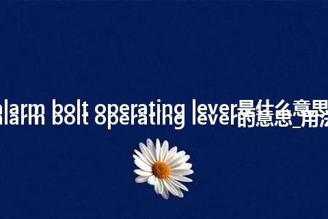 alarm bolt operating lever是什么意思_alarm bolt operating lever的意思_用法