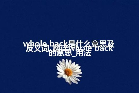 whole back是什么意思及反义词_翻译whole back的意思_用法