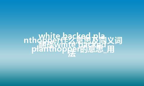 white backed planthopper什么意思及同义词_翻译white backed planthopper的意思_用法