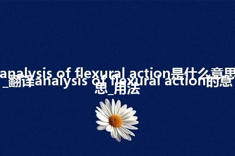 analysis of flexural action是什么意思_翻译analysis of flexural action的意思_用法
