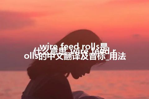 wire feed rolls是什么意思_wire feed rolls的中文翻译及音标_用法