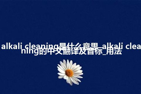 alkali cleaning是什么意思_alkali cleaning的中文翻译及音标_用法