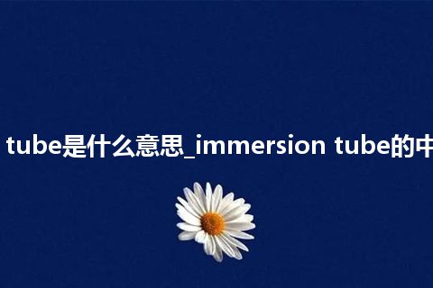 immersion tube是什么意思_immersion tube的中文意思_用法