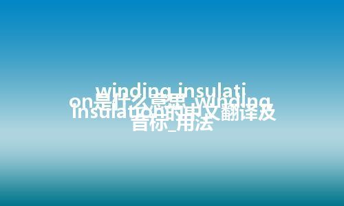 winding insulation是什么意思_winding insulation的中文翻译及音标_用法