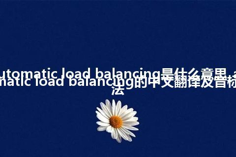 automatic load balancing是什么意思_automatic load balancing的中文翻译及音标_用法