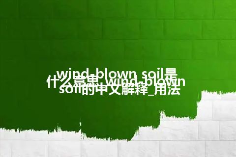 wind-blown soil是什么意思_wind-blown soil的中文解释_用法