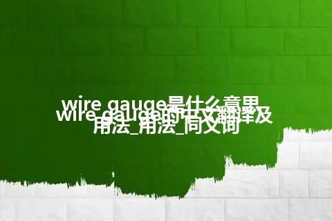 wire gauge是什么意思_wire gauge的中文翻译及用法_用法_同义词
