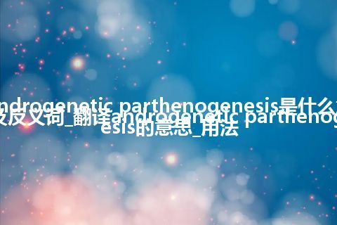 androgenetic parthenogenesis是什么意思及反义词_翻译androgenetic parthenogenesis的意思_用法