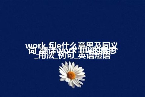 work file什么意思及同义词_翻译work file的意思_用法_例句_英语短语