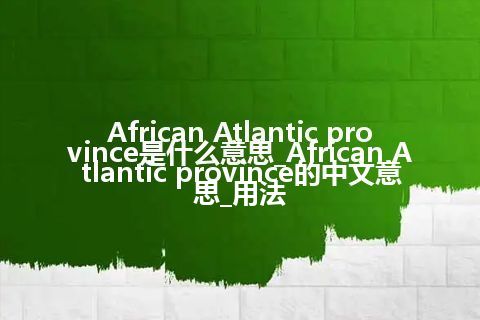 African Atlantic province是什么意思_African Atlantic province的中文意思_用法