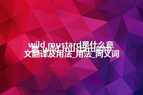 wild mustard是什么意思_wild mustard的中文翻译及用法_用法_同义词