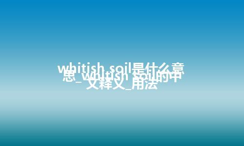 whitish soil是什么意思_whitish soil的中文释义_用法