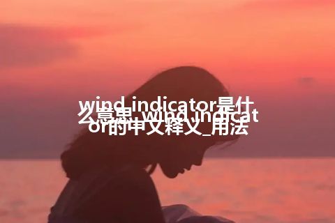 wind indicator是什么意思_wind indicator的中文释义_用法