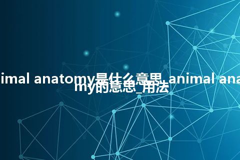animal anatomy是什么意思_animal anatomy的意思_用法