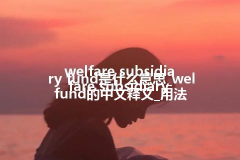 welfare subsidiary fund是什么意思_welfare subsidiary fund的中文释义_用法