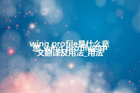 wing profile是什么意思_wing profile的中文翻译及用法_用法