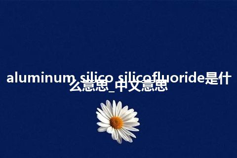 aluminum silico silicofluoride是什么意思_中文意思