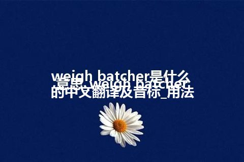 weigh batcher是什么意思_weigh batcher的中文翻译及音标_用法