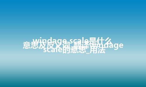 windage scale是什么意思及反义词_翻译windage scale的意思_用法