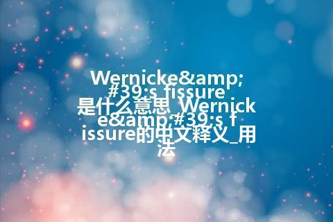 Wernicke's fissure是什么意思_Wernicke's fissure的中文释义_用法