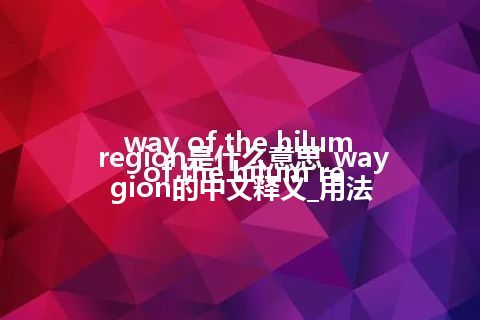 way of the hilum region是什么意思_way of the hilum region的中文释义_用法