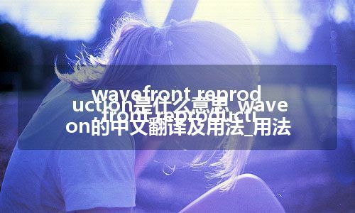 wavefront reproduction是什么意思_wavefront reproduction的中文翻译及用法_用法