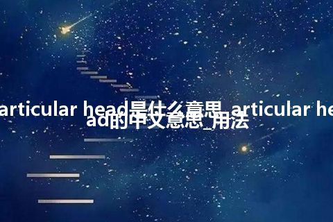 articular head是什么意思_articular head的中文意思_用法