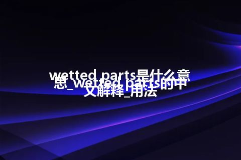wetted parts是什么意思_wetted parts的中文解释_用法