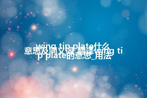 wing tip plate什么意思及同义词_翻译wing tip plate的意思_用法