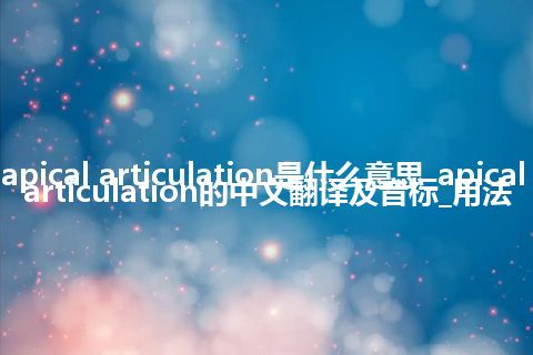 apical articulation是什么意思_apical articulation的中文翻译及音标_用法