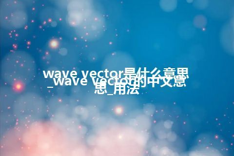 wave vector是什么意思_wave vector的中文意思_用法